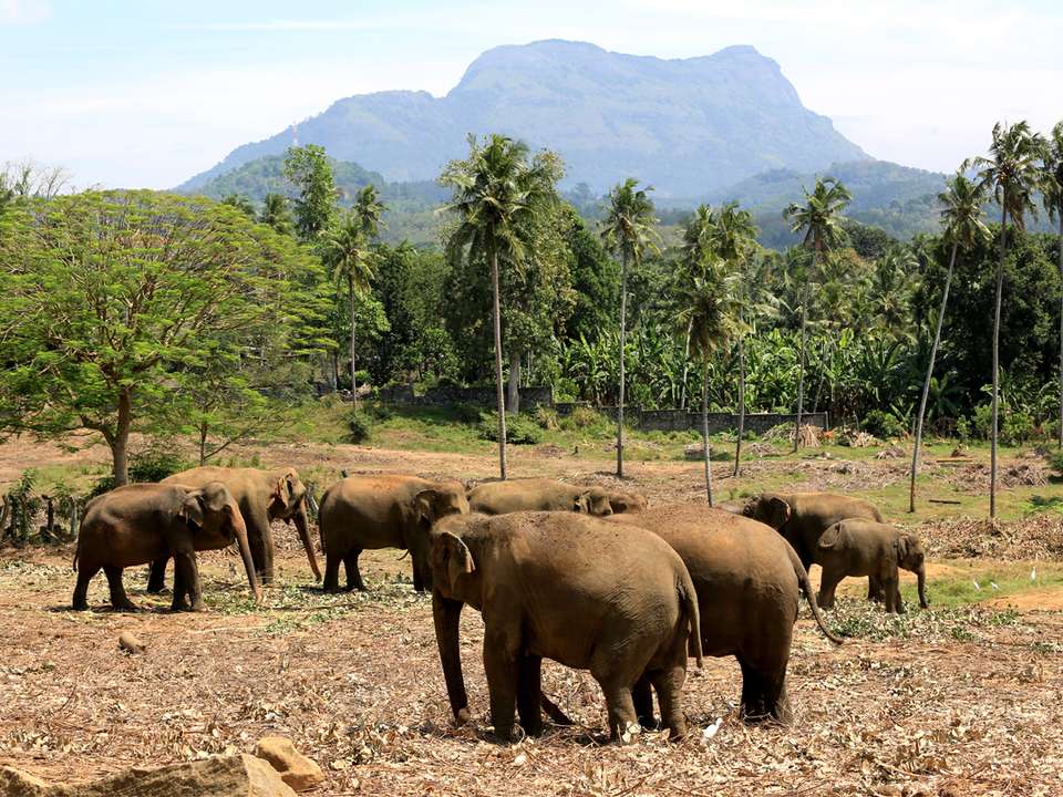 Journeys: Discover Sri Lanka - G Adventures - Sri Lanka