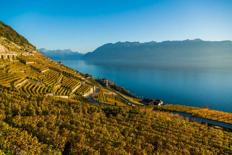 Discover Switzerland by Rail trip - alternative tour available