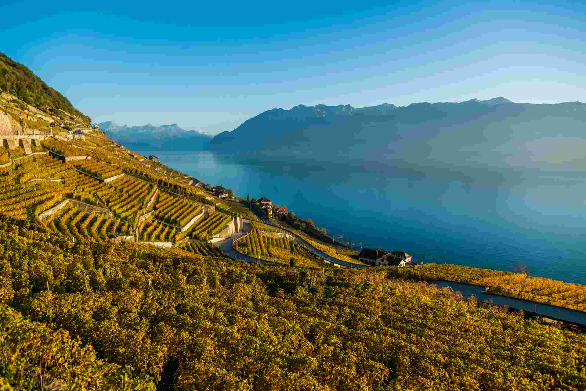 Discover Switzerland by Rail