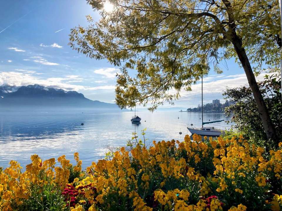 Discover Switzerland by Rail - Exodus Adventure Travels - Switzerland - Image 15