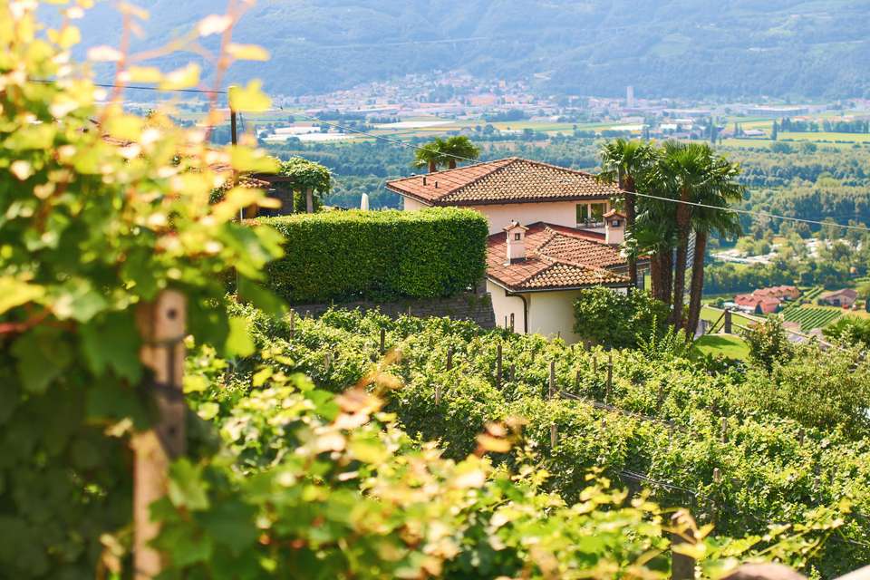 Discover Switzerland by Rail - Exodus Adventure Travels - Switzerland - Image 2