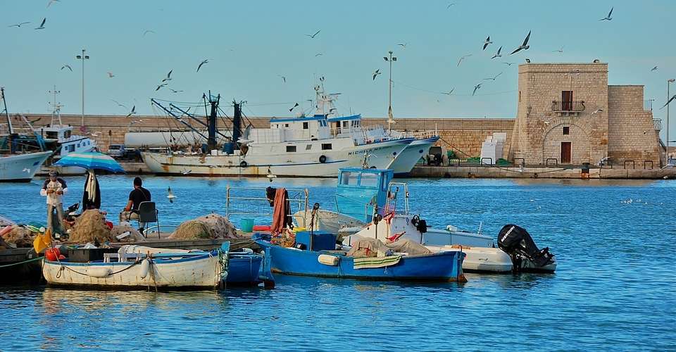 Discover the amazing trani - Associazione Culturale "le Terre Di Federico" - Italy - Image 2