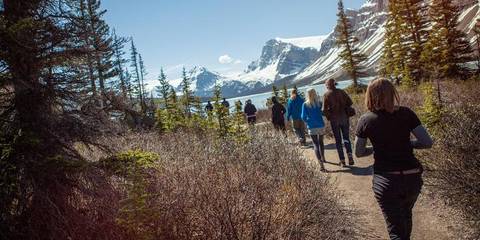 Journeys: Discover The Canadian Rockies - Westbound - Spring Tours