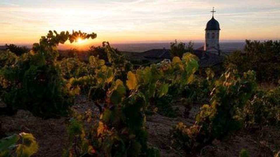 Discover the fabulous world of vineyards and wine, exceptional terroirs of the Rhône and Saône (port-to-port cruise) - Croisieurope - France - Image 3