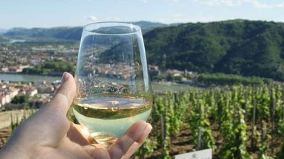 Discover the fabulous world of vineyards and wine, exceptional terroirs of the Rhône and Saône (port-to-port cruise) - Croisieurope - France - Image 7