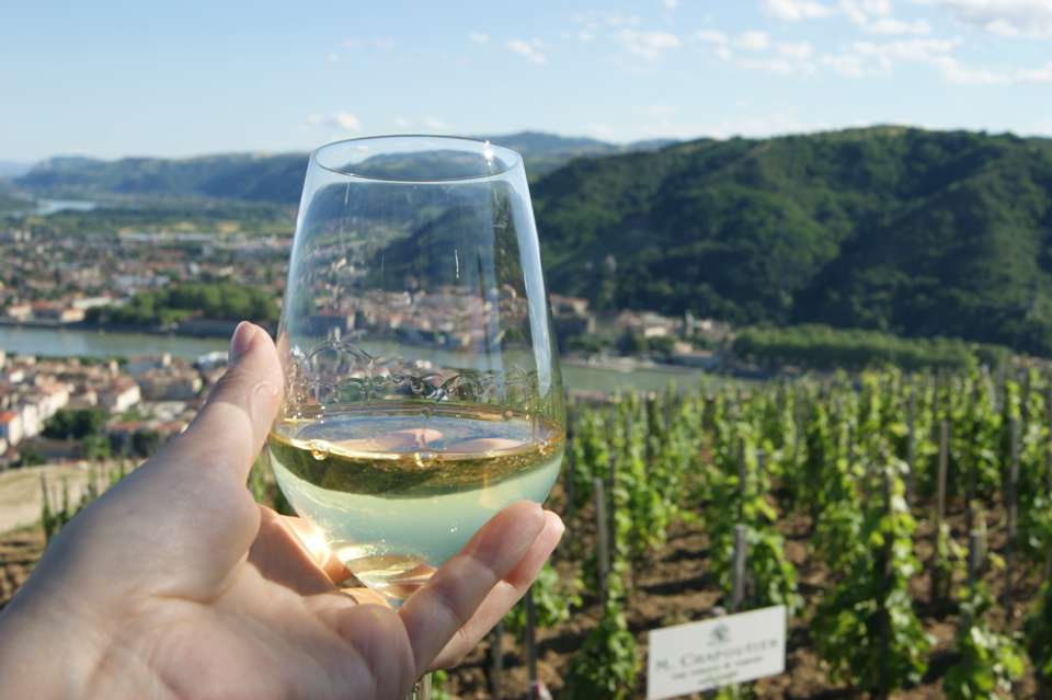 Discover the fabulous world of vineyards and wine, exceptional terroirs of the Rhône and Saône (port-to-port cruise) - Tweet World Travel - France - Image 4