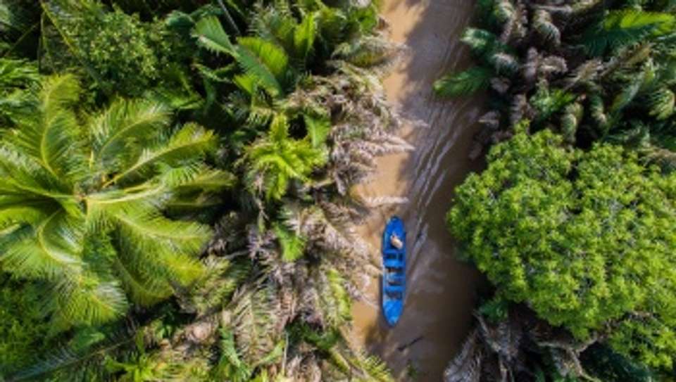Discover the Mekong: Uniting Adventure with Must-See Destinations (Port-to-Port Cruise) - undefined - Image 3