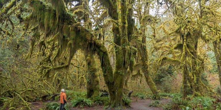 Discover the Pacific Northwest trip - alternative tour available