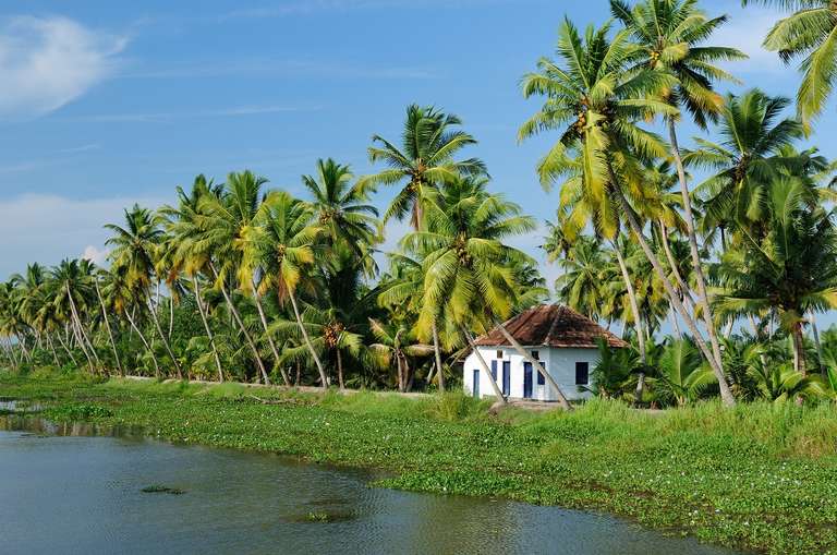 Discover The South Of India, French-speaking Guide