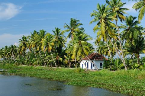 Discover The South Of India, French-speaking Guide - Summer Tours