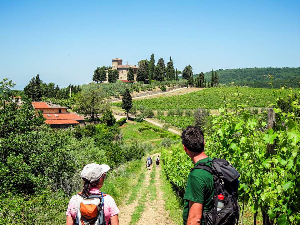 Discover Tuscany: Culture, Food & Wine - Exodus Adventure Travels - Italy - Image 15