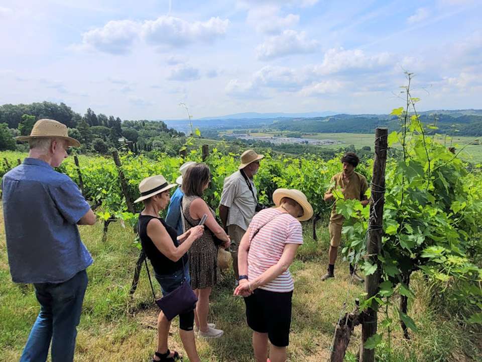 Discover Tuscany: Culture, Food & Wine - Exodus Adventure Travels - Italy - Image 5