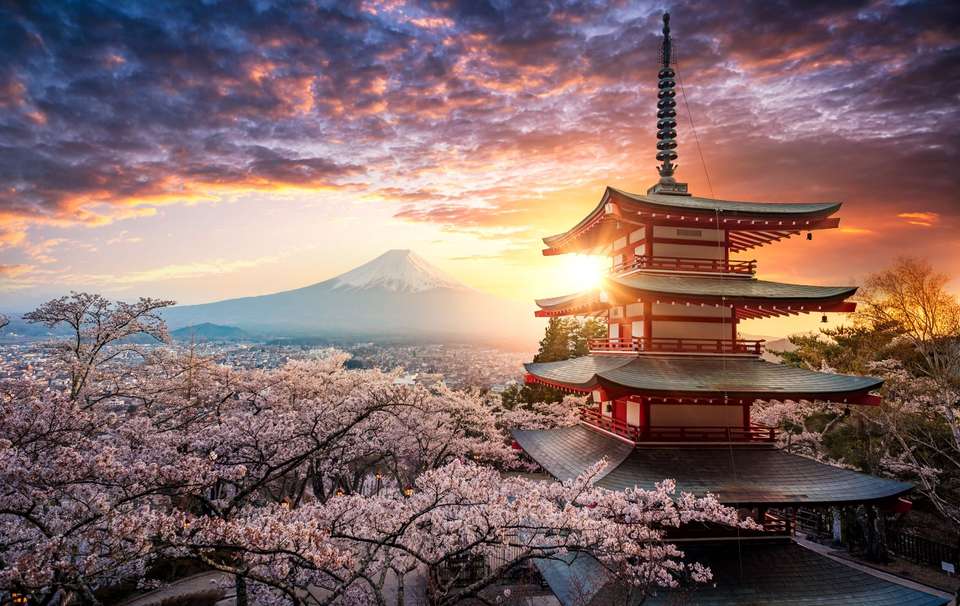 Discovering Kamakura and Mount Fuji - Europamundo - Japan - Image 5