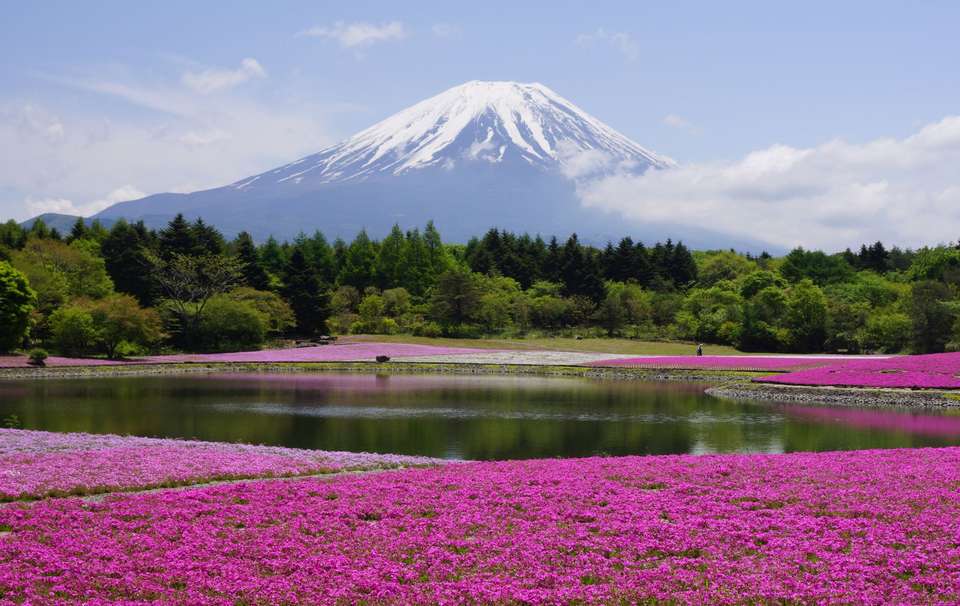 Discovering Kamakura and Mount Fuji - Europamundo - Japan - Image 6