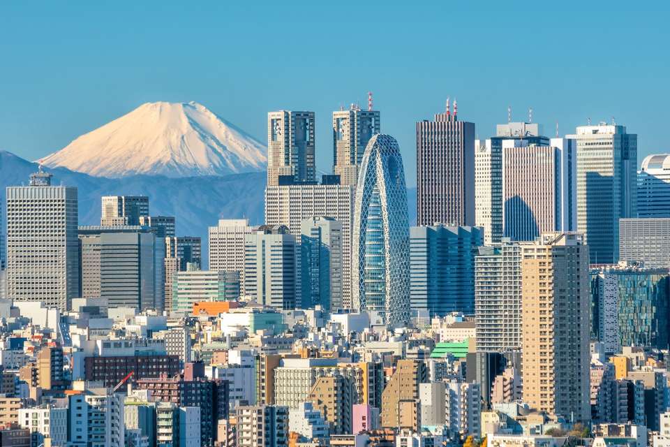 Discovering Kamakura and Mount Fuji - Europamundo - Japan - Image 9