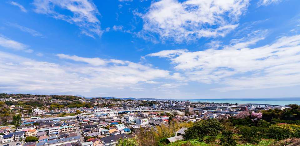 Discovering Kamakura and Mount Fuji - undefined - Image 10
