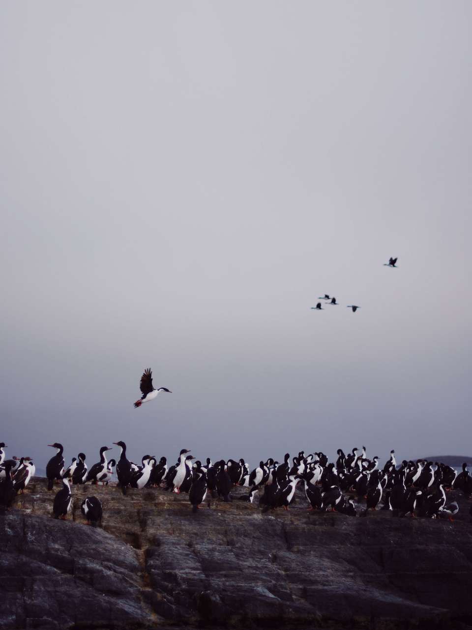 Image 11 of 22