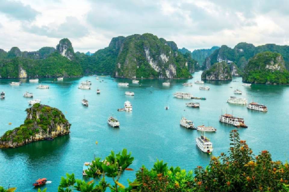DISCOVERY HALONG – LAN HA BAY - VENUS HALONG CRUISES 2 DAYS - undefined - Image 2
