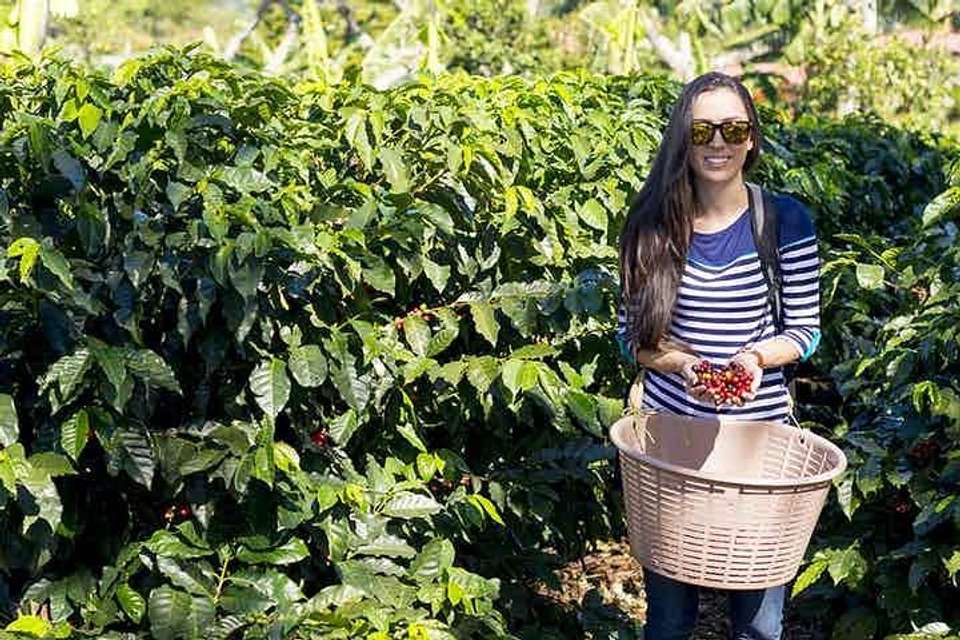 Doka Coffee Tour- Greece And Sarchi From San José - Destination Services - Costa Rica - Image 3
