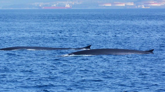 Image 4 of 10