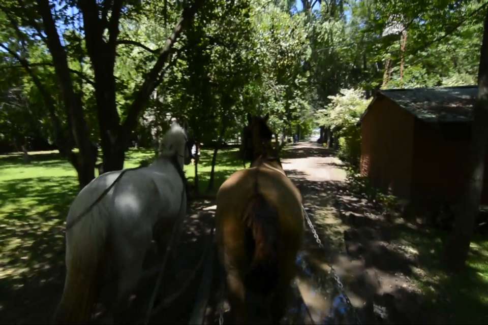Don Silvano Ranch from Buenos Aires - Tangol Tours - Argentina - Image 6