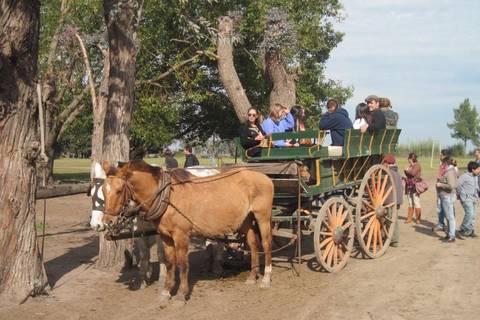 Horseback Riding Tour: Don Silvano Ranch From Buenos Aires