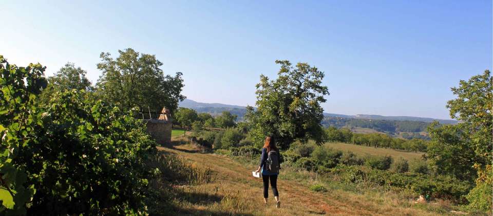 Dordogne's Hidden Treasures on Foot - 10 Days - Walkers' Britain - France - Image 3