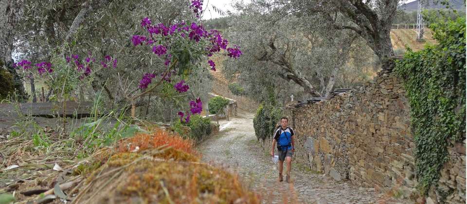 Douro Rambler - Walkers' Britain - Portugal - Image 10