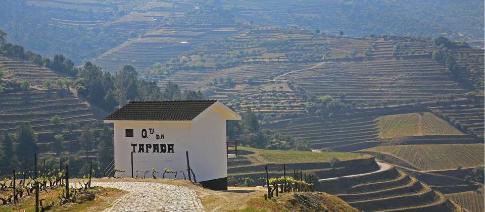 Douro Rambler - World Expeditions - Portugal - Image 8