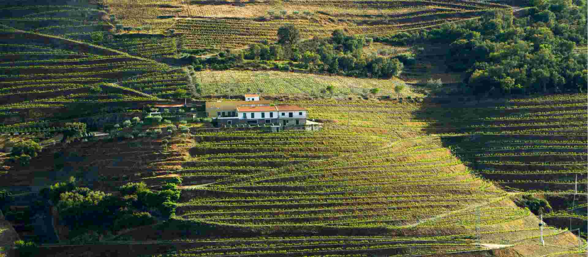 Douro Rambler In Comfort