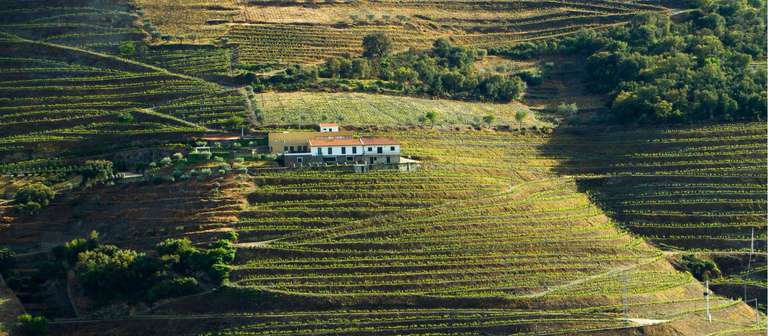 Douro Rambler In Comfort trip - alternative tour available