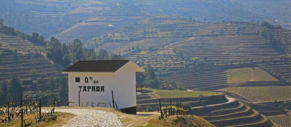 Douro Rambler - Walkers' Britain - Portugal - Image 5