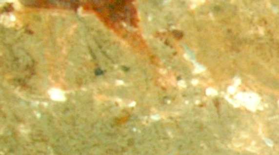 Image 3 of 4