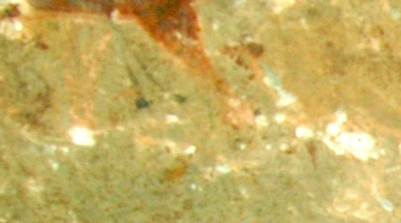 Image 3 of 4