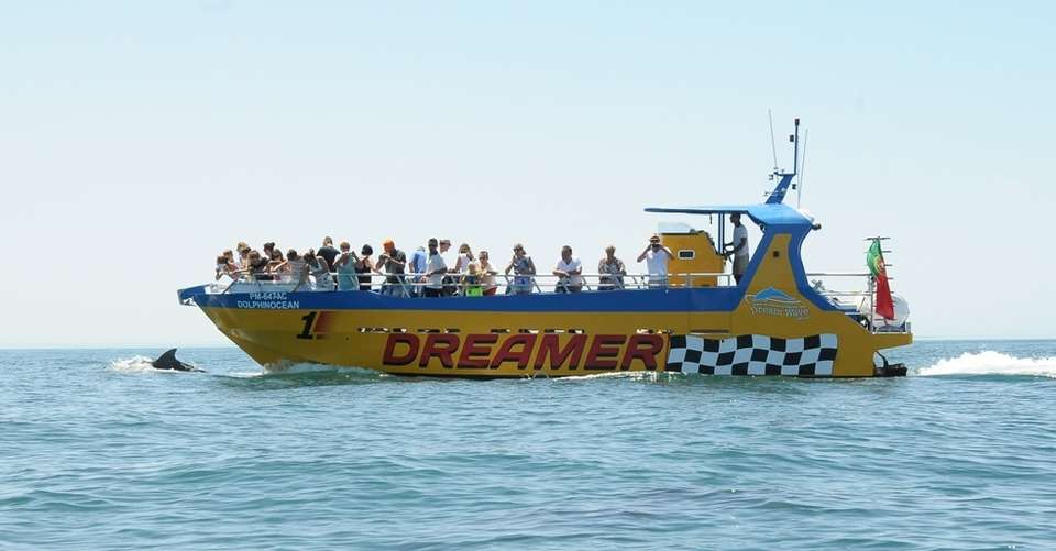 Dreamer - Caves & Dolphin Watching - Dream Wave World - Portugal - Image 4