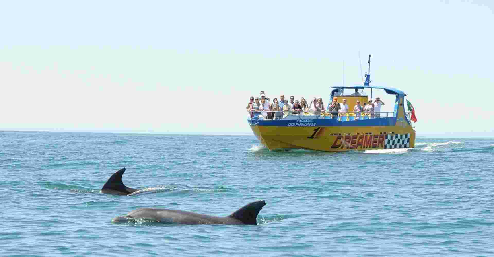 Dreamer - Caves & Dolphin Watching