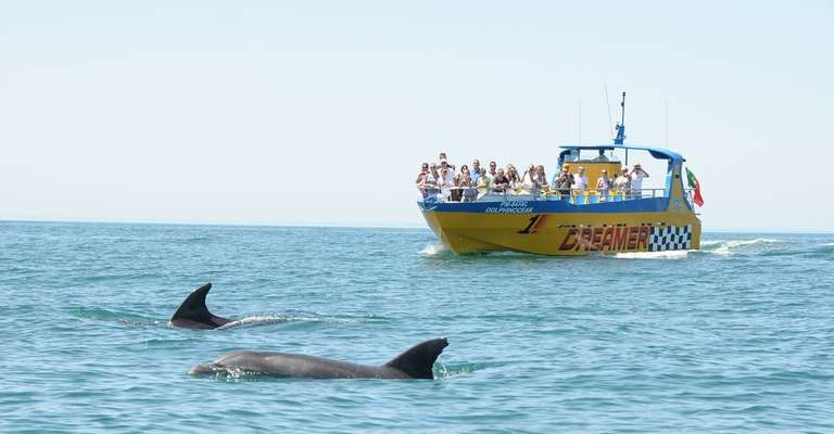 Dreamer - Caves & Dolphin Watching trip - alternative tour available