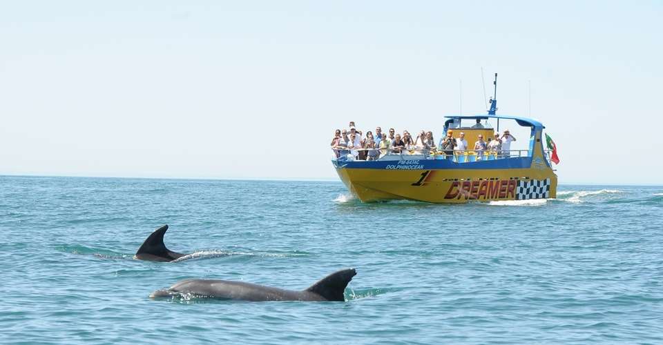 Dreamer - Caves & Dolphin Watching - Dream Wave World - Portugal - Image 1