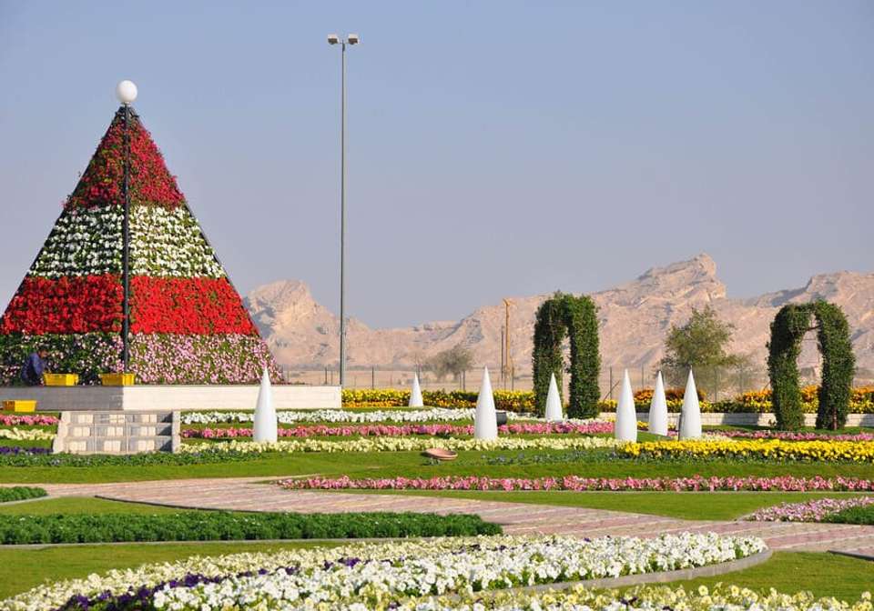 Dreams of Dubai Special - undefined - Image 5