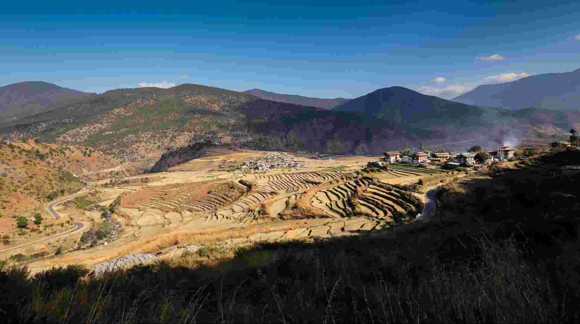 Druk Path Trekking