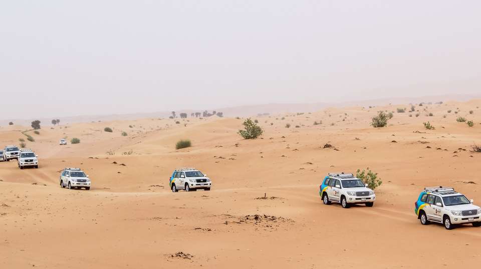 Dubai Desert 4x4 Safari with Camp activities & BBQ Dinner - undefined - Image 17