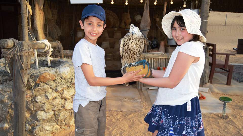 Dubai Desert 4x4 Safari with Camp activities & BBQ Dinner - undefined - Image 10
