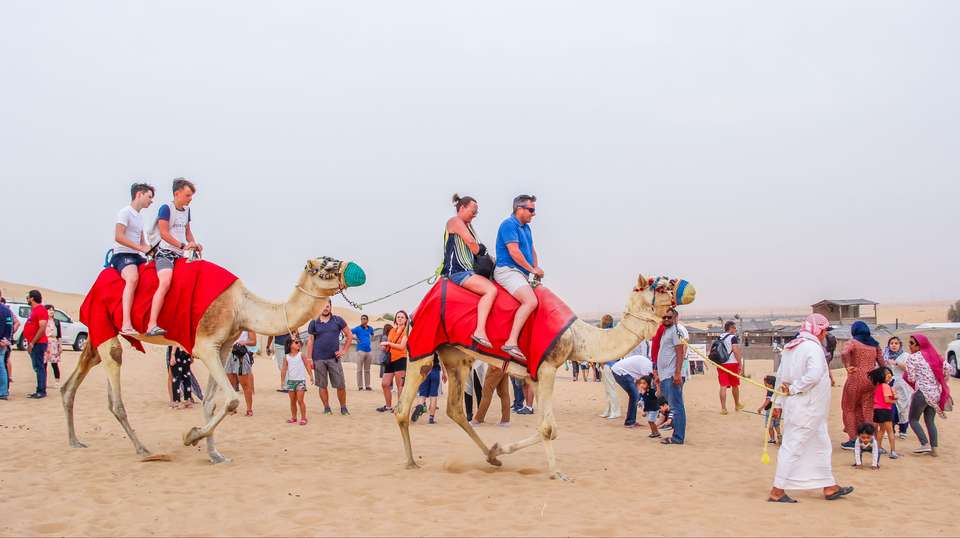Dubai Desert 4x4 Safari with Camp activities & BBQ Dinner - undefined - Image 8