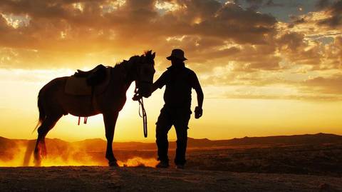 Adventure Tour: Dubai Desert Horse Riding Experience