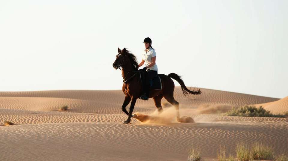 Dubai Desert Horse Riding Experience - Daytur Dubai - UAE - Image 2