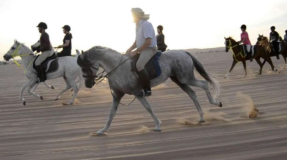 Dubai Desert Horse Riding Experience - Daytur Dubai - UAE - Image 3