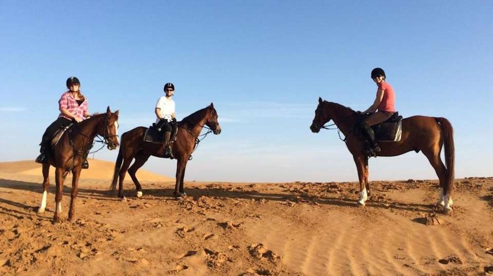 Dubai Desert Horse Riding Experience - Daytur Dubai - UAE - Image 4