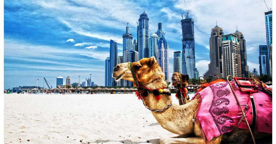 Dubai Private Tour with Ticket to Burj Khalifa - Travelux Day Tours L.l.c - UAE - Image 3