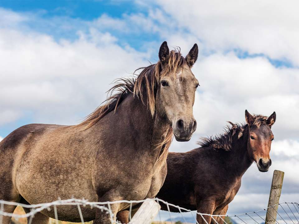 Dublin, Northern Ireland & Galway (Hotel) - 5 days - On The Go Tours - Ireland