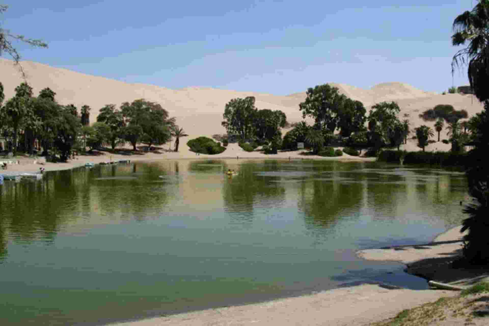 Dune Buggy and Sandboard in Huacachina Ica